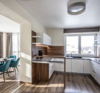 Kitchen with dining area, wooden decor flooring, 2-room apartment.