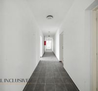 A long hallway in a 2-room apartment with light walls and a dark floor.