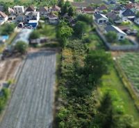 Aerial view of gardens and residential plots in the village and its surroundings.