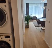 A hallway in a 2-room apartment with a washing machine, wooden decor flooring, and a plant.
