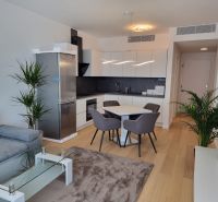 Living room with kitchen in a 2-room apartment, wooden decor flooring, elegant dining set.