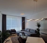Living room in a two-room apartment with a wooden decor floor and stylish lighting.