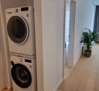 2-room apartment with wood-patterned flooring, storage space with a washing machine.