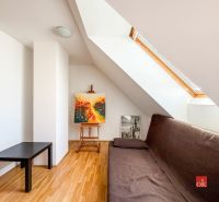 Attic room with a sofa, painting, and skylight in a 5 or more room apartment.