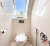 Bathroom window in a 5 or more room apartment, toilet with a view of trees.