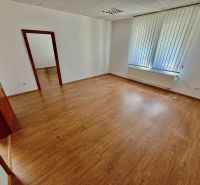 Offices with wood-patterned flooring and large windows for light.