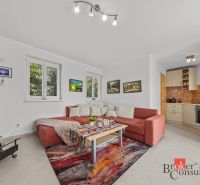 Living room with a red sofa, colorful carpet, and kitchenette in a cottage.