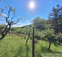 A sunny day in the garden by the cottage in Kamenica nad Hronom with fruit trees.