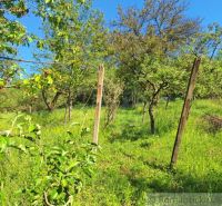 An orchard near the cottage in Kamenica nad Hronom with lush greenery and a blue sky.