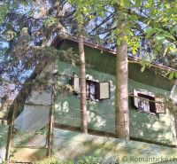 A cottage surrounded by trees in Kamenica nad Hronom, green facade, closed shutters.