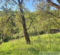 A garden with fruit trees and grass near a cottage in Kamenica nad Hronom.