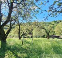 A garden with fruit trees near the cottage in Kamenica nad Hronom.