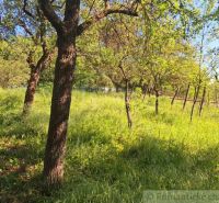 A meadow with fruit trees and a fence in Kamenica nad Hronom near the cottage.