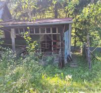 An old cottage in Kamenica nad Hronom surrounded by lush vegetation and trees.