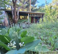 A cottage in Kamenica nad Hronom surrounded by greenery and trees, with blooming lilies of the valley in the foreground.