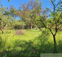 A garden near the cottage in Kamenica nad Hronom with fruit trees and lush vegetation.