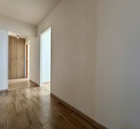 A hallway in a 3-room apartment with a floor featuring a wood design and a wooden wardrobe.