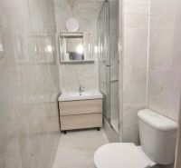 Bathroom with toilet in a 2-room apartment, equipped with a shower and a washbasin cabinet.