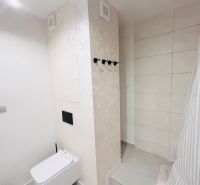 Bathroom in a 3-room apartment with a toilet and shower, fresh white tones.