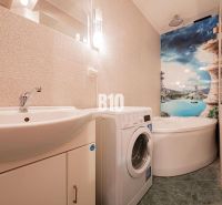 A bathroom of a three-room apartment with a shower, a washing machine, and colorful wall decoration.