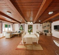 Living room of a holiday apartment with a fireplace, wooden decor flooring, and a dining table.