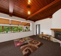 Recreational apartment with a fireplace, natural decorations, and open space.