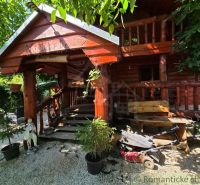 A rustic family house in Lehota with wooden decor surrounded by greenery.