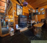 A room in a family house with wooden paneling, rustic decorations, and a fireplace.
