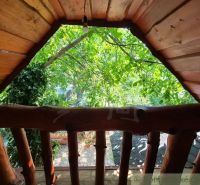 The view from the porch of a family house in Lehota to the green trees and garden.