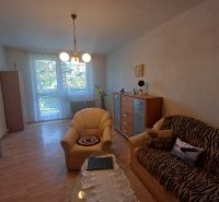 Living room with a sofa and an armchair, floor with wood decor, furnishings of a 3-room apartment.