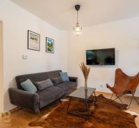 Living room in a two-room apartment with a wooden decor floor and a leather armchair.