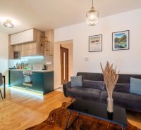 Living room in a two-room apartment with a kitchen and a wooden decor floor.