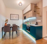 A kitchen in a 2-room apartment with a wooden decor floor and a dining table.