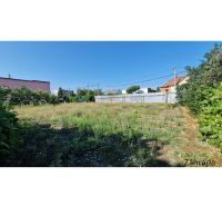 Garden at the family house on 29th August Street in Trebišov, green grassy area.