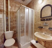 A bathroom in a studio apartment with a toilet, sink, and shower, tiled.