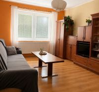Living room with a sofa, wooden decor flooring, wooden furniture, houseplants, family house.