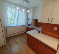 A kitchen in a studio apartment with a wood-patterned floor and natural light.