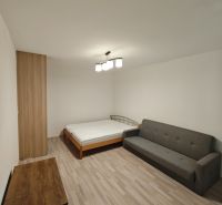 Living room in a studio apartment with a sofa, bed, and wooden decor flooring.