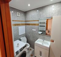 Bathroom in a studio apartment with a sink, toilet, washing machine, and light-colored walls.