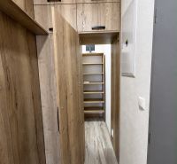 Storage space with wood decor in the hallway of a 3-room apartment.