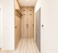 Entrance hall in a 3-room apartment with wood-patterned flooring and storage space.