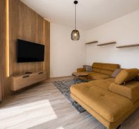 Living room in a 3-room apartment with a sofa, wooden decor flooring, and a TV on the wall.