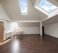 Spacious offices with wood-patterned flooring and skylights.