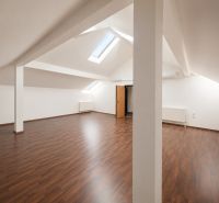 Attic offices with wooden decor flooring, skylights, and radiators.