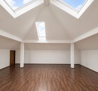 Spacious offices with wood-patterned flooring and skylights.
