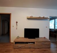 Living room in a 3-room apartment with a wood-patterned floor and a television on a cabinet.