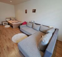 Living room in a 3-room apartment with a corner sofa and a bed, wooden decor flooring.