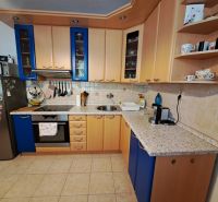 A kitchen of a three-room apartment with a wooden decor and blue kitchen cabinets.