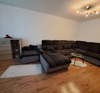 Living room in a three-room apartment with a sofa and a wooden decor floor.