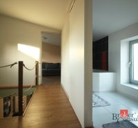 Wooden decor floor, bathroom, sofa in a family house, light from the window.